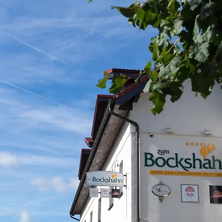 Und Landgasthof Zum Bockshahn Гостевой дом Spessart (Ahrweiler)