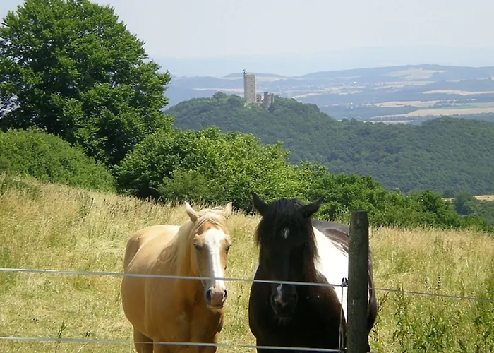 Und Landgasthof Zum Bockshahn 3* Spessart (Ahrweiler)
