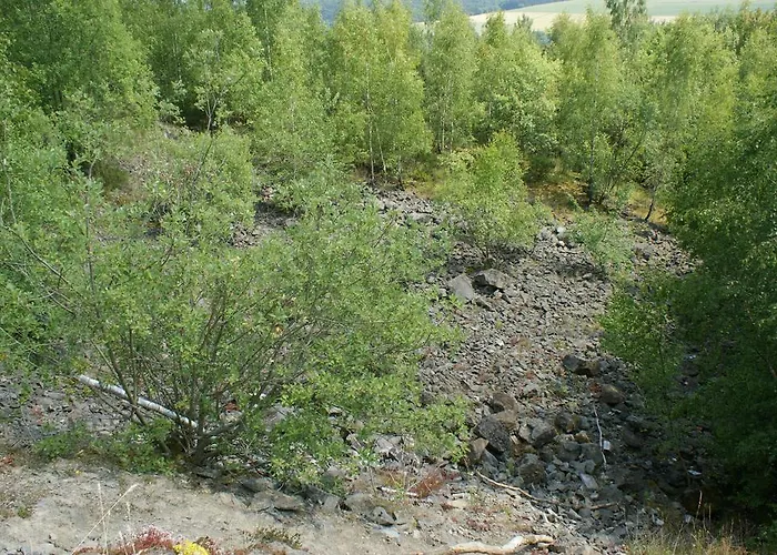 Und Landgasthof Zum Bockshahn